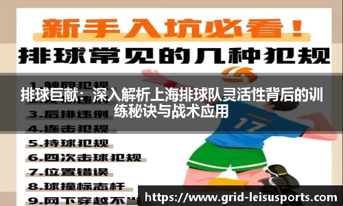 排球巨献：深入解析上海排球队灵活性背后的训练秘诀与战术应用